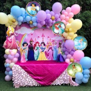 Customized Princess Setup