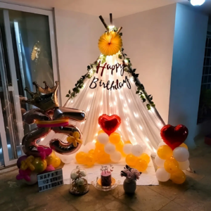 Trendy Canopy Decoration for Birthday