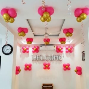 Balloon Wall Decoration for Baby Arrival