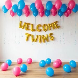 First Time Welcome Decor for Twins